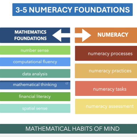 Using Numeracy Foundation Resources to Plan Next Steps