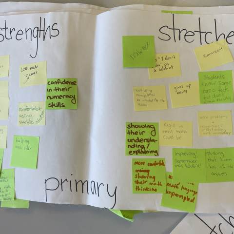 Primary Strengths and Stretches